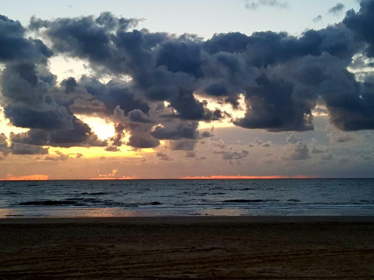 זנדוורט Excellent Beach Apartments מראה חיצוני תמונה